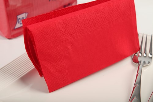 Lüx Renkli Peçete 25x25 100 Adet